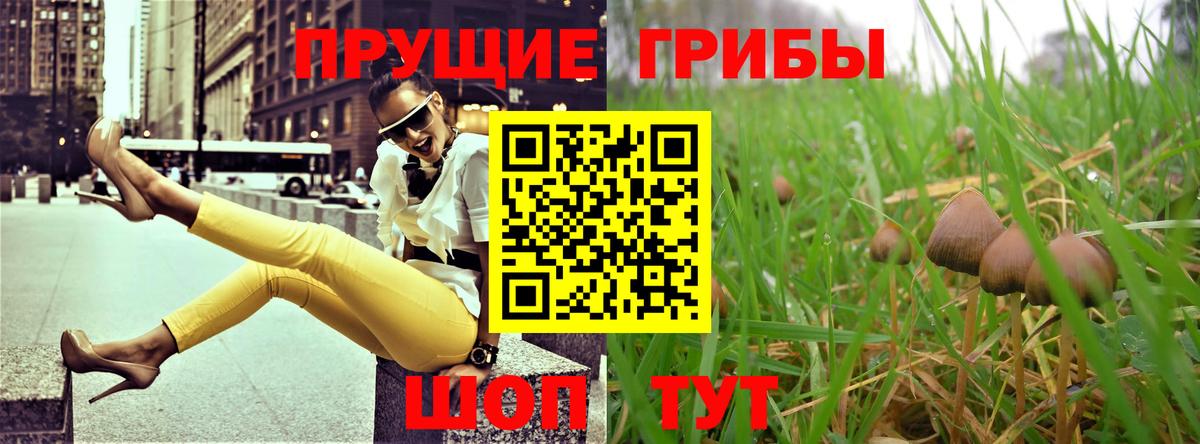 Галлюциногенные грибы мицелий  Вход с VPN  где купить   Тамбов 
